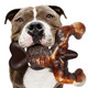 Moxikia Dog Chew Toys For Aggressive Chewers Almost Indestructible Dog ToysBacon FlavorTough Dog Bone Toys For Medium/Large Breed DogsBest Chew Toys To Keep Them Busy