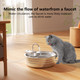 Neatfieo Cat Water Fountain Stainless Steel - 135Oz / 4L Large Capacity Pet Water Fountain For Cats Indoor - Ultra-Quiet Pump For Cats Dogs Water Bowl Dispenser - Pets Feeding & Watering Supplies