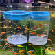 Nestbasics Fish Breeder Box For Fishes Tank Isolation Aquarium Separator Hatchery Incubator For Guppy Baby Betta Saltwater Clownfish Coral Aggressive Or Injured Fish (Large Two-Piece Set)