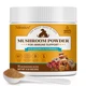 Ninsiec Mushroom Supplement Powder For Dogs & Cats Turkey Tail Mushroom For Pets Lipoma For Cats 11 Organic Mushroom Complex Partner Guard For Dogs Lumps And Bumps