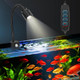 Novique 3W Fish Tank Light 3 Color Modes Clip On Aquarium Spotlight With Adjustable Focus Aquarium Focus Light With 10 Brightness Levels