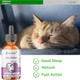 Ntcare Melatonin For Cats Natural Sleep Aid 60 Servings 2 Fl. Oz.
