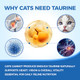 Nukupuns Kittysupps Taurine Powder For Cats Kitty Supps Taurine Supplement Grade Amino Acid Supplement For Heart Vision & Daily Wellness 200 Grams (1Pcs)
