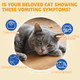 Ourea Cat Vomit Remedy Vomiting Relief For Cats Cat Digestive Support Drop Probiotics For Cats Helps Reduce Hairballs Relieve Stomach Sensitivity And Support Gut Health (2 Fl Oz)