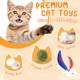 Patsfran Cat Toys For Indoor Cats 6 Pack Interactive Catnip Toys For Bored Kitten Kicker Toy For Kitty With Sound Cat Chew Toys For All Breeds