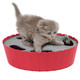 Pawaboo Interactive Cat Toy With Running Mouse Electronic Motion Cat Toy Automatic Teaser For Indoor Cats Pop And Play Hide Seek Cat Toys Hunting Mouse For Pet Cat Kitten Play Fun Exercise Green