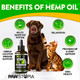 Pawstopia (2 Pack) Hemp Oil For Dogs And Cats - Helps Pets With Anxiety Pain Stress Sleep Arthritis Seizures Relief - Cat Anxiety Relief - Omega 3-6-9 - Pet Hemp Oil Drops Treats - Hip And Joint Support