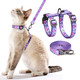 Petthem Cat Harness And Leash Set - Escape Proof Adjustable Cat Harness Comfortable Soft Lightweight Use Safe & Easy Walking Travel Kitten Harness For Small Medium Large Cats (Green Growling Crocodile)
