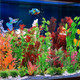 Pietypet Fish Tank Accessories Aquarium Decorations Plants 20Pcs Fish Tank Decorations Plant Fish Tank Decor Aquarium Decor Plastic Plants Small To Large