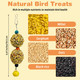 Pinvnby 3 Pcs Bird Treats Natural Bird Crunch Treats Grain Mixed Cockatiel Snacks Hanging Parrot Chewing Toy For Parakeet Conure Lovebird Budgie Finch Canary