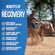 Pivotal Equine Total Recovery Horse Supplement - 9 Equine Amino Acids Plus Probiotics For Horses -100% Natural- No Added Sugar No Soy No Fillers - Horse Joint Support Supplement (100 Servings)