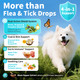 Poppaw Flea & Tick Drops For Dogs Natural Prevention With Neem Oregano & Pumpkin Seed Oil Liquid Supplement Beef Flavor 2 Fl Oz Long-Lasting Protection For All Breeds & Sizes