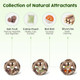 Potaroma Catnip Toys 3Pcs Cat Toys Natural Silvervine Stick Cage Balls & Bell Ball For Indoor Cats Kitten Cleaning Teeth Molar Matatabi Cat Chew Toy All Breeds
