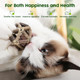 Potaroma Catnip Toys 3Pcs Cat Toys Natural Silvervine Stick Cage Balls & Bell Ball For Indoor Cats Kitten Cleaning Teeth Molar Matatabi Cat Chew Toy All Breeds