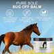 Bug Balm For Horses Pure Sole Bug Off Balm Helps Protect Ponies Cows Donkeys & Other Farm Animals Sweet Itch Belly Balm Ointment Safe For Face Ears Eyes And Wounds 8 Oz.