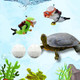 Purrrfectionpet 4 Pcs Turtle Tank Decorations And Purification Balls Aquarium Floating Decor Nitrifying Balls Floating Fish Tank Decorations Aquatic Turtle Enrichment Toys Aquarium Decor (Luminous)