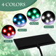 Rossesay 2 Pack Fish Tank Light Clip On Led Aquarium Light 12W 42 Leds Assemble Aquarium Lamp With White Blue Red Green 7-14 Inch For 7-22 Inch Planted Tank