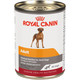 Royal Canin Canine Health Nutrition Adult In Gel Dog Food 13.5 Oz (Pack Of 12)