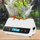 Runwusheng Reptile Misting System With Timer 6 Adjustable-Joint Nozzles Self-Priming Pump Quiet Fine Mist For Chameleons Geckos Frogs & Terrariums