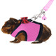 Rypet Guinea Pig Harness And Leash - Soft Mesh Small Animal Harness With Safe Bell No Pull Comfort Padded Vest For Guinea Pigs Ferret Chinchilla And Similar Small Animals