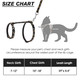 Scirokko Cat Harness And Leash Set - Escape Proof Adjustable For Outdoor Walking With Safety Buckle For Small Animals Glow In The Dark