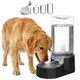 Sfozstra Large Dog Water Dispenser: 5L Automatic Gravity Water Feeder - Dishwasher-Safe Stainless Steel Bowl - Easy Clean - No Power Needed - For Cats & Small Dogs - Kitchen Corner/Crate Area