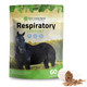 Silver Lining Herbs Respiratory Support Supplement For Horses - Horse Supplements For Lung Cleanse & Respiratory Health - Great For Lung Function Breathing & Clear Airways - 1 Lb 60-Day Supply