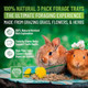 Small Pet Select Forage Tray Bundle 3 Pack Of Foraging Trays For Rabbit Guinea Pig Hamster Or Bunny - Natural Treats Dandelion Flower Herb Mix 2.5Oz Each