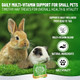 Small Pet Select - Select Care Multivitamin Support Supplement Natural High Fiber Timothy Hay Based Treats For Rabbits Guinea Pigs Hamsters Other Small Animals 4.2 Oz