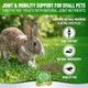 Small Pet Select - Select Care Joint Mobility Support Supplement Natural High Fiber Timothy Hay Based Treats For Rabbits Guinea Pigs Hamsters Other Small Animals 4.2 Oz