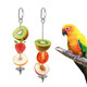 Smrtcol 3 Pcs Bird Cage Food Holder Stainless Steel Parrot Fruit & Vegetable Skewer Hanging Foraging Toy For Parakeets Budgies Macaws