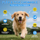 Snazfirst Dog Flea Treatment Chewable Oral Flea Prevention For Dogs Chewable-Hip And Joint Support-Allergy And Immune Support For All Breeds And Sizes(Chicken Flavor 150 Chews)