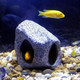 Springsmart Aquarium Hideaway Rock Cave For Aquatic Pets To Breed Play And Rest Safe And Non-Toxic Ceramic Fish Tank Ornaments Decor Stone For Betta