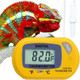 Sungrow Reptile Digital Thermometer Terrarium Temperature Monitor With Suction Cup Mount Accurate Fahrenheit Celsius Switch Thermostat Gauge For Bearded Dragon Snake Gecko Enclosure Tank