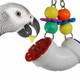 Super Bird Creations Sb751 Pvc Forager Bird Toy Medium/Large Bird Size 3 X 5 X 8