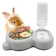 Tfwadmx Double Rabbit Bowls Cat Automatic Feeder With Gravity Water Bottle No Spill Detachable Dog Stainless Steel Bowl Set For Bunny Puppy Kitty Kitten Ferret Squirrel