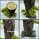 Tfwadmx Fish Tank Tree Trunk Tall Decoration 10.6'' Aquarium Tree Stump Freshwater Saltwater Fish Tank Terrarium Ornament Hides Accessoriesfor Goldfish Betta Fish Shrimp Reptile