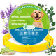 Trihood Natural Flea & Tick Prevention Dog Collars 2-Pack Adjustable Waterproof Collars With Essential Oils (Lemon Eucalyptus Citronella Lavender Linalool) Safe For All Breeds