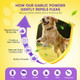 Ttlxbl Fleas Ticks Treatment Dog Oral Chewables Support Supplement Breeds And Ages Dogs