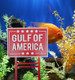 Uniqus Gulf Of America Aquarium Decor Maga Make America Great Again Sign Decor For Fish Tank Betta Fish Tank Trump Sign Garden For Planter
