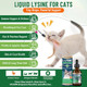 Vicsom L-Lysine For Cats Cat Lysine Supplement For Immune Support Feline Respiratory Sneezing Runny Nose Eye Function Natural Strengthen Defenses Chicken Flavor 60 Ml