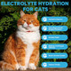 Vivaelixir Cat Electrolytes & Hydration - Supports Post-Surgery & Illness Recovery - Immune Support With Electrolytes Glucose For Energy Omega-3 Antioxidants Prebiotics - Oral Syringe - 10.14 Fl Oz