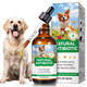 Vortexonix Antibiotics For Dogs 60Ml Natural Antibiotics For Dogs Dog Antibiotics Dog Supplies Antibiotics Dog Multivitamin For Pets Natural Dog Antibiotics Supports Dog Allergy And Itch Relief