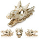 Warmtree Dragon Skull Animal Skulls Mini Skulls Dinosaur Skull Aquarium Resin Skull Dinosaur Head For Reptiles Hideouts Decoration Statue Fish Aquarium Cave Landscape Terrarium