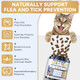 Weallin Flea And Tick Prevention For Cats 200 Soft Chews For Fleas Treatment For Cats Natural Cat Oral Flea Chewables Support Supplement Flea And Tick Chews For All Breeds & Sizes