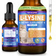 Weallin L-Lysine Supplement For Cats Immune Support For Cats Support For Feline Respiratory Sneezing Runny Nose Eye Function Helps Strengthen Natural Defenses Chicken Flavor (1Pc)