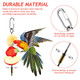 Weewooday 3 Pcs Bird Cage Food Holder Parrot Fruit Vegetable Skewer Stainless Steel Stick Feeder Bird Treats Skewer Parakeet Cockatoo Cockatiel Cage Treating Tool Small Animal Hanging Foraging Toys