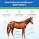 Womrich Joint Health Supplement For Horses Powder - Glucosamine Msm Chondroitin Sulfate - Joint Support Supplement For Horses Senior Horse Joint Support Formula