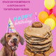 BUDDY BUDDER Awesome Apple POOCH PANCAKES - Fun treat, Brunch w/your pup, or Stack em' for Dog Birthdays w/candle, 100% all natural, No sugar or preservatives - Made in USA (14oz