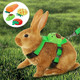 Xpapov 4 Sets Adjustable Bunny Rabbit Harness And Leash Set Small Pet Cute Vest Harness Leash Ferret Harness Guinea Pig Harness Ferret Leash With Decorations For Bunny Kitten Puppy Small Pets